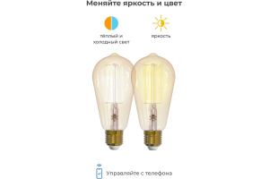 Купить SLS Лампа LED-12 LOFT E27 WiFi white-3.jpg